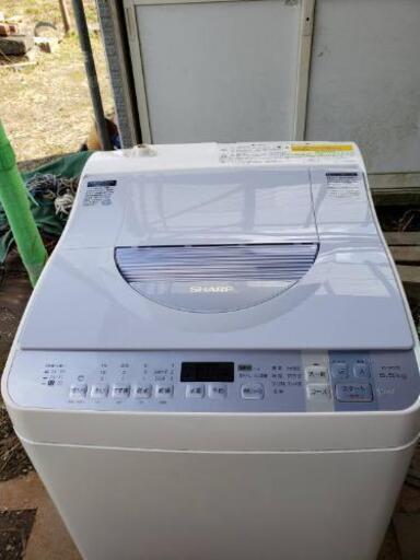 SHARP  5.5キロ洗濯機