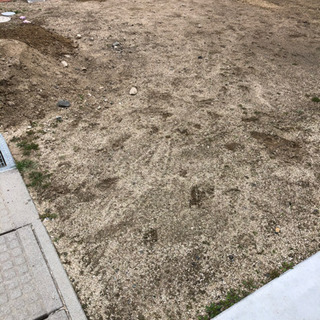 庭の砂！の画像