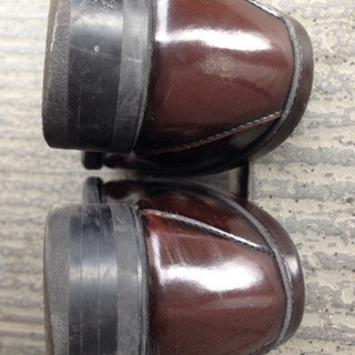 HARUTA 24cmの画像