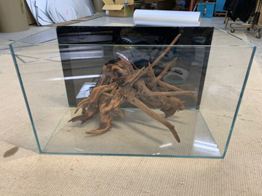 ADA６０cm水槽＋エーハイム2213