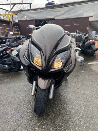 4D9マジェスティカスタム  ‼️