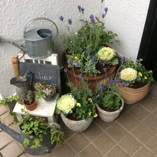 お庭や玄関先の植え替えの、プランターの交換など承ります【遺品植物...