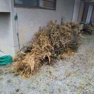 ＃副業　＃フリーランス　（出社不要）＃便利屋　＃草刈り　＃空き家...