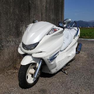 フルカスタム マジェスティ SG03J 5連