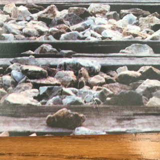 BTS ポスター5枚セットの画像