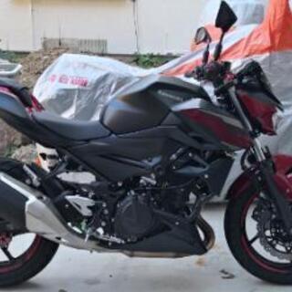 カワサキ Z250 2BK-EX250P 2019年式 カスタム多数