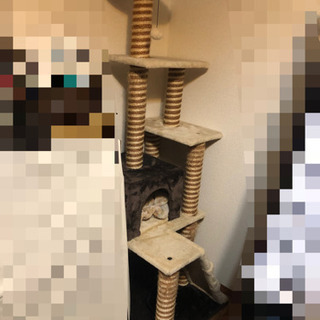 キャットタワー　猫　キャットツリー