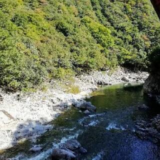 　野草🏞️探しに行きませんか − 大阪府