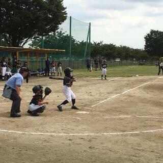 少年野球メンバー大募集！ - スポーツ