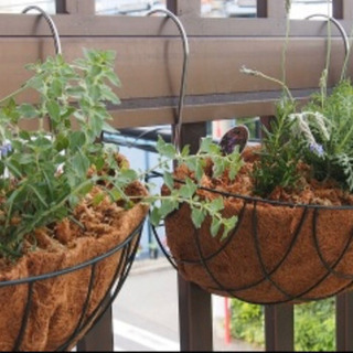 壁掛け植木バスケット