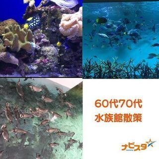 27～40歳 夜の葛西臨海水族園散策