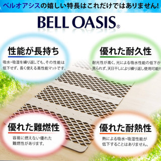 除湿マット　すのこ型の画像