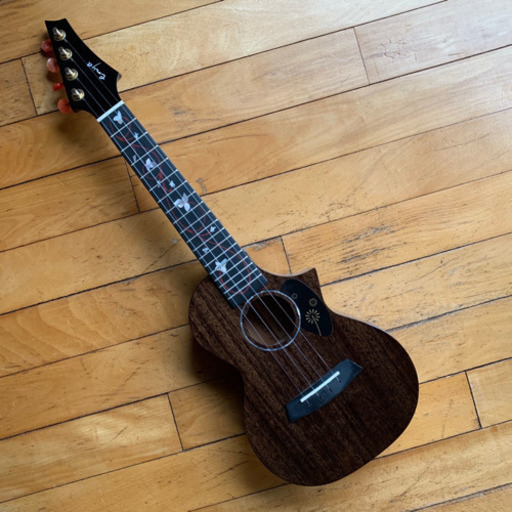 Enya コンサート　ウクレレ