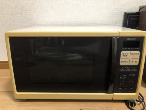 電子レンジ(最大600w)