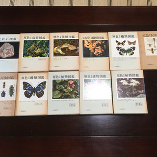 原色図鑑シリーズ　セット売り