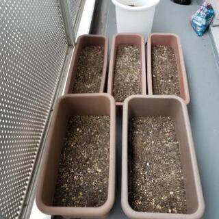 ★お譲り先が決まりました【植木鉢6つ】取りに来ていただける方にお...