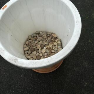 大きな植木鉢の画像