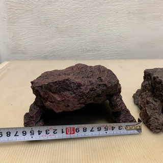 爬虫類等のシェルター