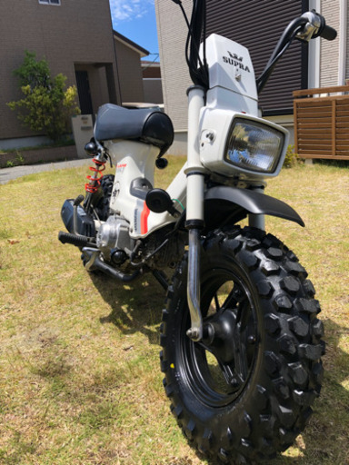 シャリー　ワイルド仕様。