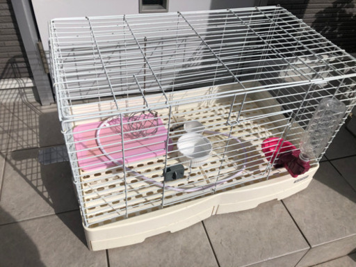 ウサギ小屋　美品