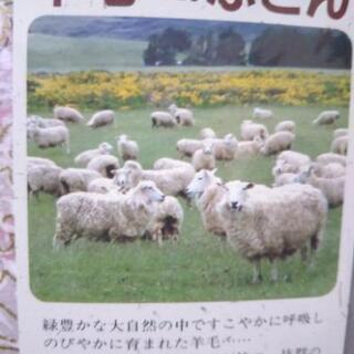 羊毛混🐑の肌掛布団の画像