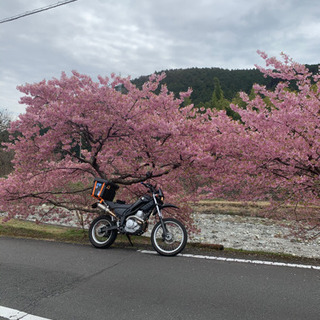 ツーリング仲間募集します