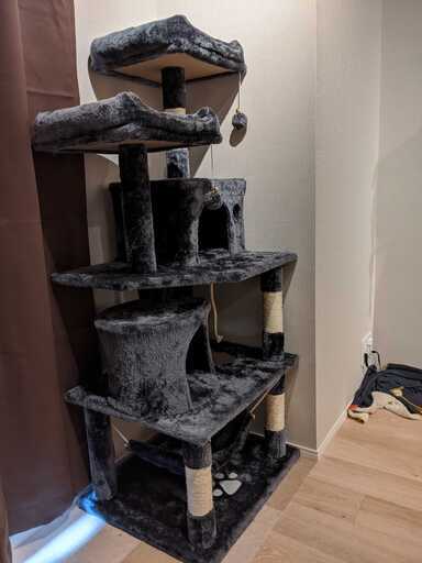 キャットタワーお譲りします