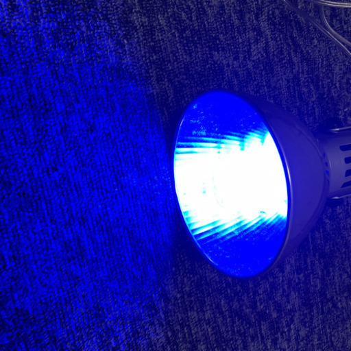 水槽用ライト　ヴォルテス　ブルー　ソケットセット