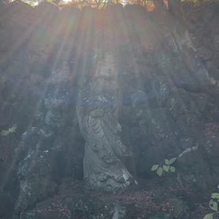 着物で神社に参拝ツアー😍 - その他