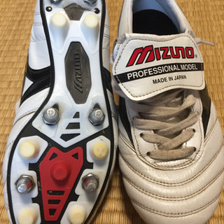 モレリア  ミックスの画像