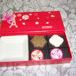 ESTEBAN　チョコレートギフト型お香