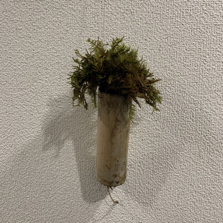 植物ワークショップ 「竹と苔と庭師」 - 高松市