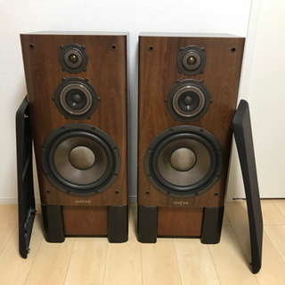 ダイアトーンスピーカーＤＳ－800Zです。