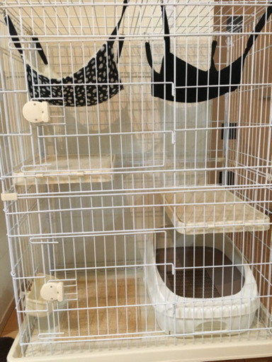 「お相手様　決まりました」