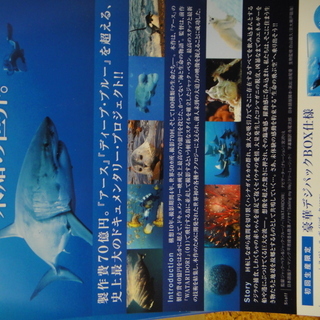 DVD　の画像