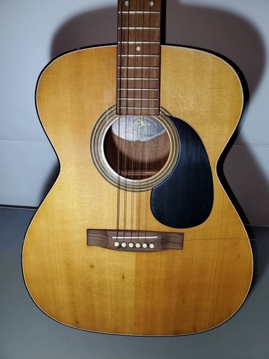 SANTONE アコースティックギター MF-100 高さ:99㎝