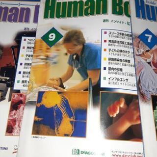デアゴスティーニ　週刊　ヒューマンボディの画像