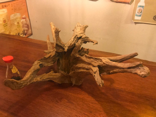 多肉植物やエアープランターにいかが？