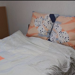 特注フェザー100%クッション　二個の画像