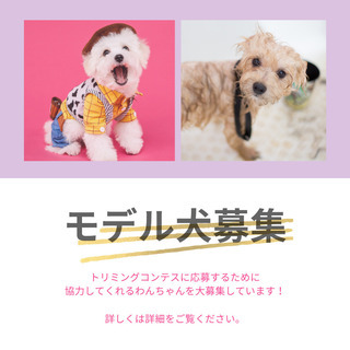 モデル犬｜助け合い｜ジモティー