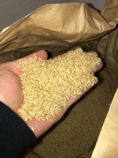 宮崎県 えびの市 お米 玄米 新米 30キロ 3月中出品