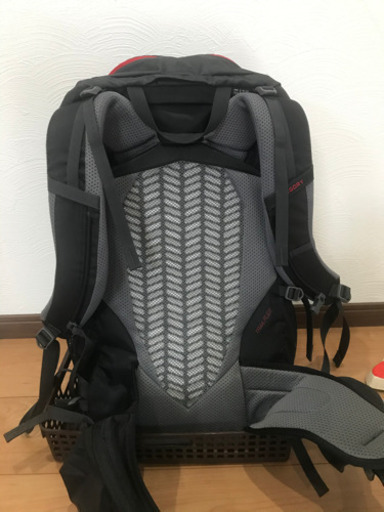 グレゴリー　スタウト 30