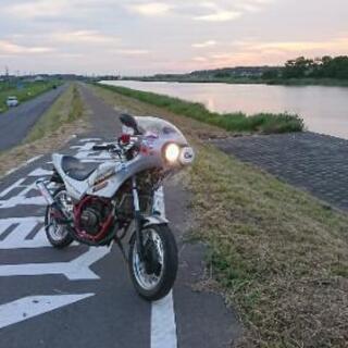 初期型ホンダＶＴ２５０ＦＣ
