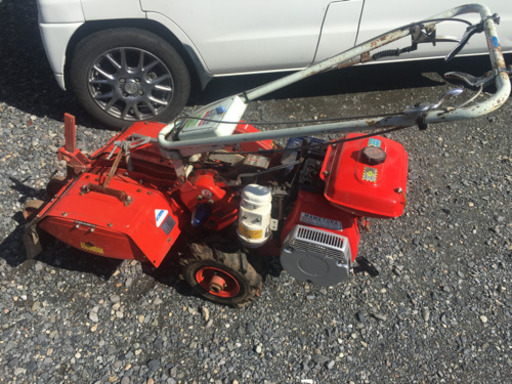 マメトラ売ります