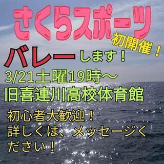 喜連川でバレーやります！