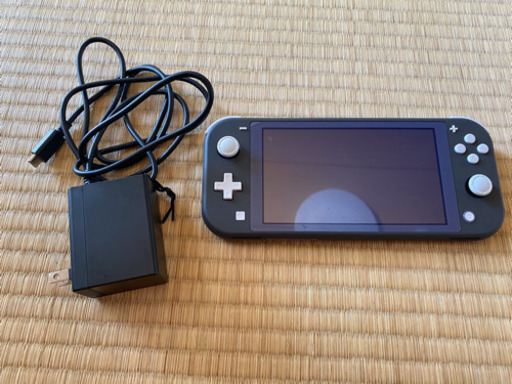 任天堂Switch Light グレー