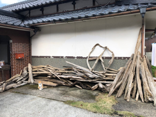 流木　軽トラ1杯❗️