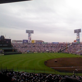 素人の為のキャッチボールの会