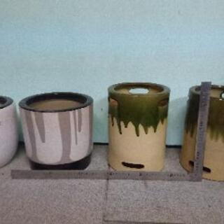 火鉢　睡蓮　メダカ