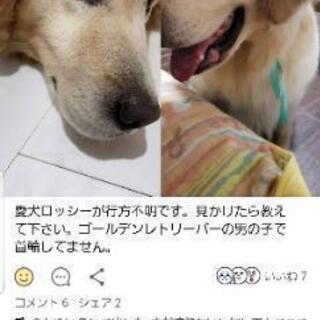 探しています